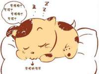 苏州隆格维服饰有限公司