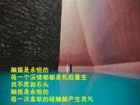 苏州隆格维服饰有限公司