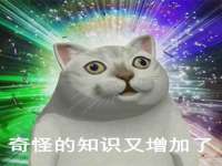 苏州隆格维服饰有限公司