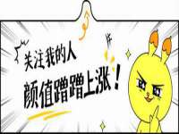 苏州隆格维服饰有限公司