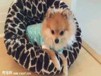 苏州隆格维服饰有限公司