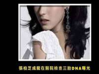 苏州隆格维服饰有限公司