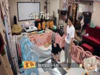 苏州隆格维服饰有限公司