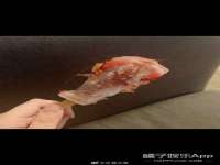 苏州隆格维服饰有限公司