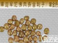 苏州隆格维服饰有限公司